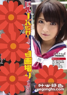 BCPV-029 