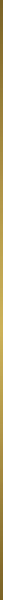 DVDMS-791
