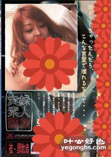 DVR-031