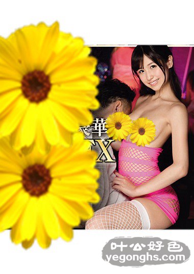 IDBD-781ٺφD,Ǵϣ,տ,ϣ,g,,~,ֲ{,캣,