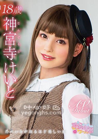 OPPW-088NO