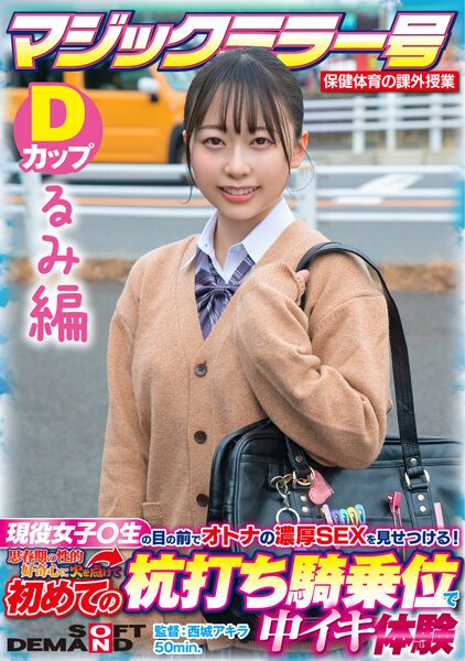 SDMM-13203 