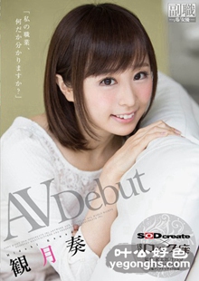SDSI-027 