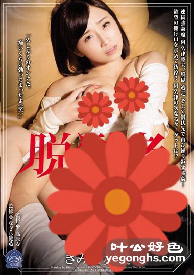 SHKD-704 ʵ