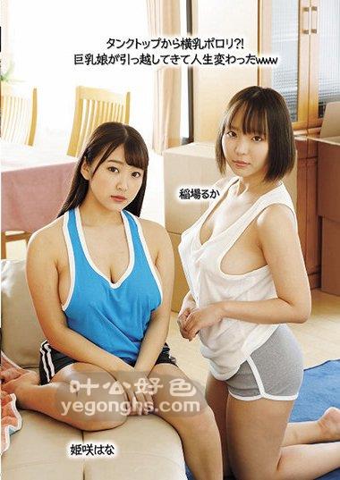 UMD-798,