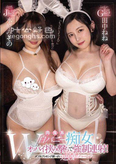 WAAA-203NO