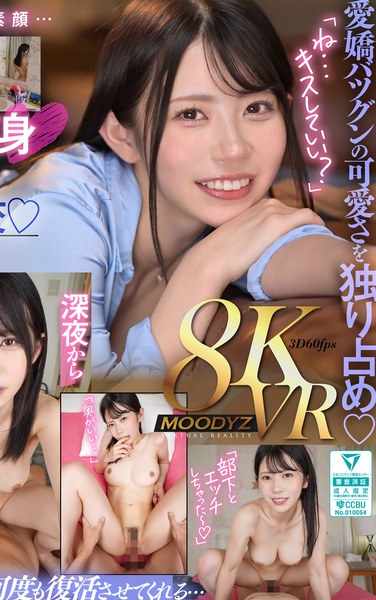 MDVR-334¤ּ